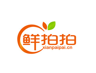 朱兵的logo設計