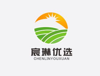 胡紅志的宸琳優(yōu)選logo設(shè)計(jì)