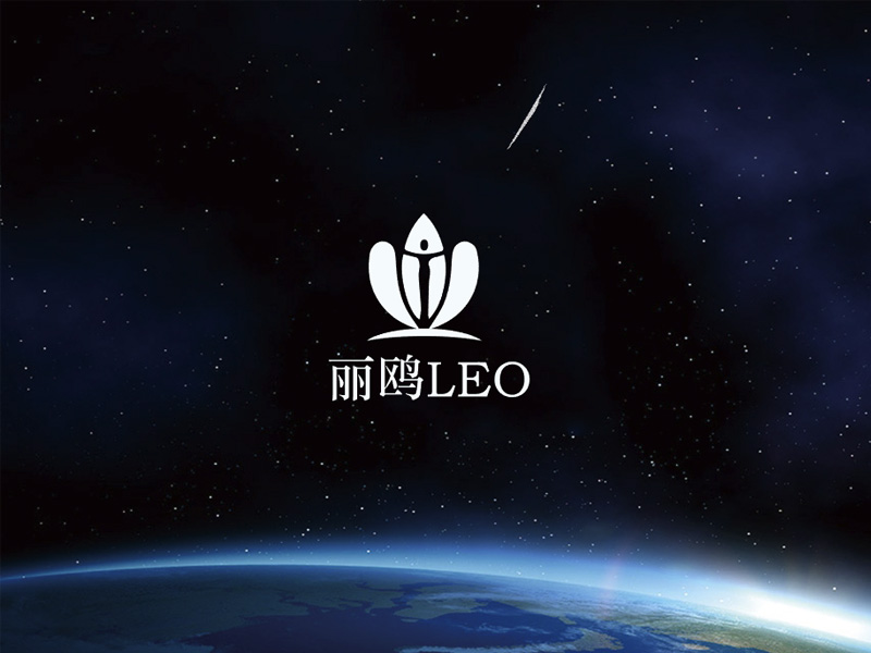 秦光華的麗鷗logo設(shè)計